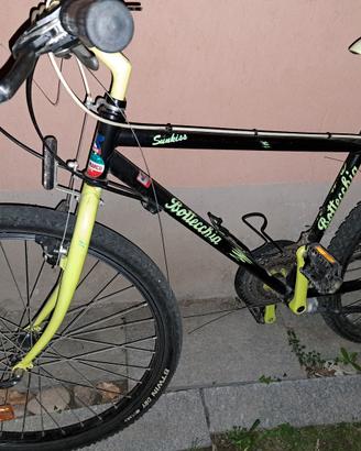 bici unisex