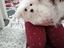 Immagine 3