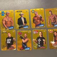 Lotto WWE Lamincards Wrestling