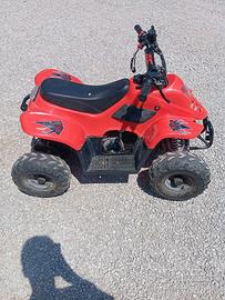 quad 110cc 