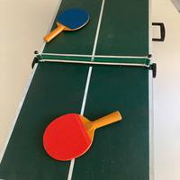 Mini tavolo Ping Pong
