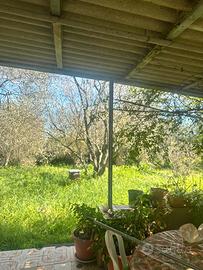 La Tiribba terreno con piccolo fabbricato C/2