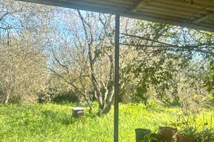 La Tiribba terreno con piccolo fabbricato C/2