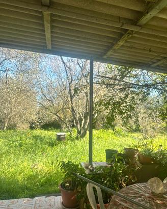 La Tiribba terreno con piccolo fabbricato C/2