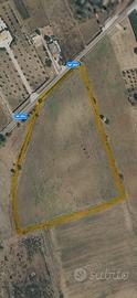 TERRENO EDIFICABILE 30.000mq - CASARANO (LE)