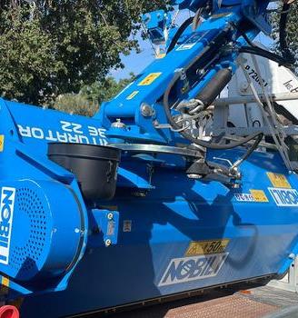 Trincia Nobili a bandiera