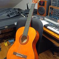 Chitarra Classica Elettrificata 