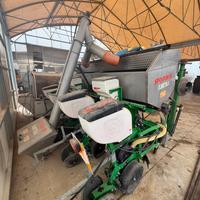 Sfoggia elektra 4 file