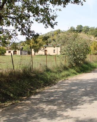 Terreno con casa rurale a Montalto U. (Cosenza)