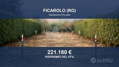 Immobile in asta di 34398 m² a Ficarolo