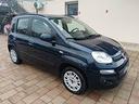 fiat-panda-1-2-easy