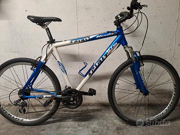 bicicletta MTB Rondine Spirit. 