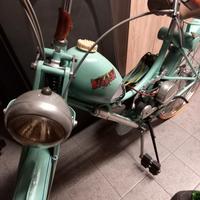 Aquilotto Bianchi Azalea