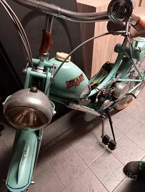 Aquilotto Bianchi Azalea