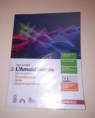 L'Amaldi.verde 2 - Amaldi (Zanichelli)