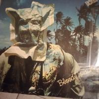 lotto vinili 33 giri lp disco album rock pop blues