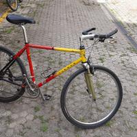 bicicletta Gary Fisher