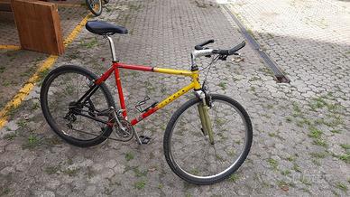 bicicletta Gary Fisher