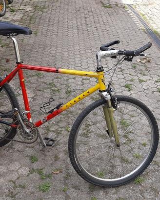 bicicletta Gary Fisher