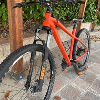 Bici Mountain bike