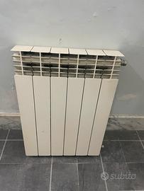 Termosifone radiatore