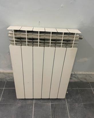 Termosifone radiatore