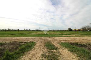 TER. AGRICOLO A PORTOGRUARO