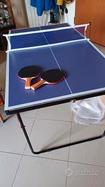 Tavolo da ping pong