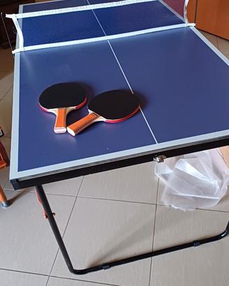 Tavolo da ping pong