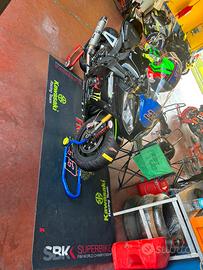 Kawasaki zx 10r ex team pedercini