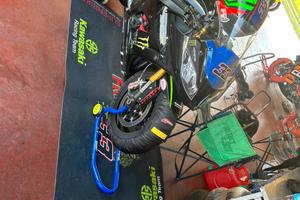 Kawasaki zx 10r ex team pedercini