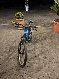 Bicicletta GFM