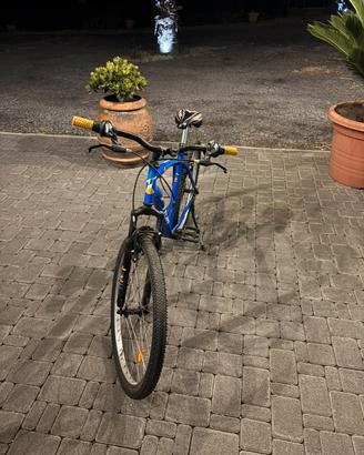 Bicicletta GFM