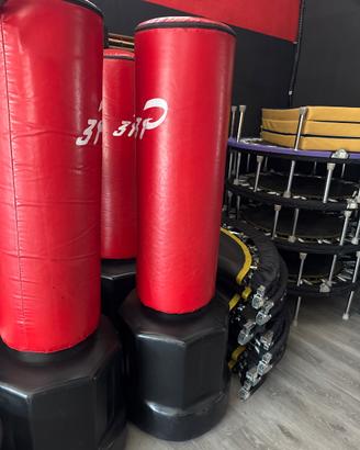 sacchi fit box