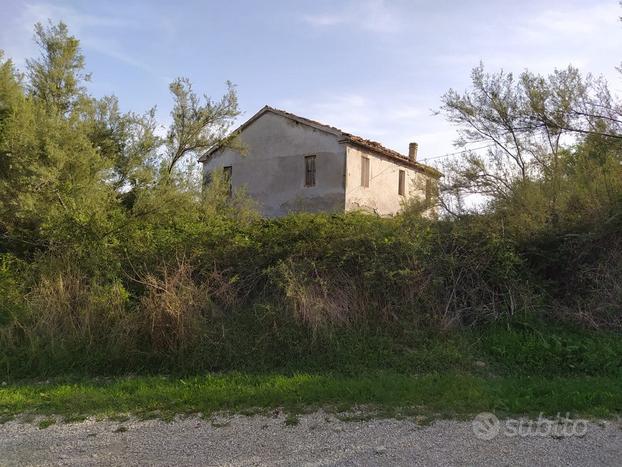 Azienda agricola con abitazione