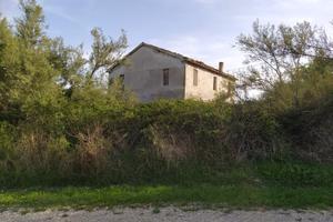 Azienda agricola con abitazione