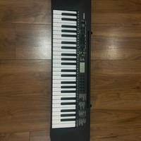 Tastiera Casio, custodia e adattatore