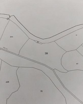 Terreno agricolo