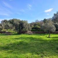 Nuxis - Terreno Edificabile mq. 2395