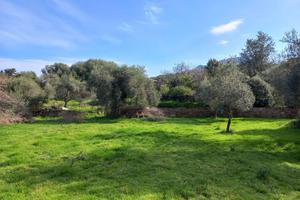 Nuxis - Terreno Edificabile mq. 2395