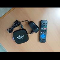 sky Roku