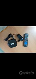 sky Roku