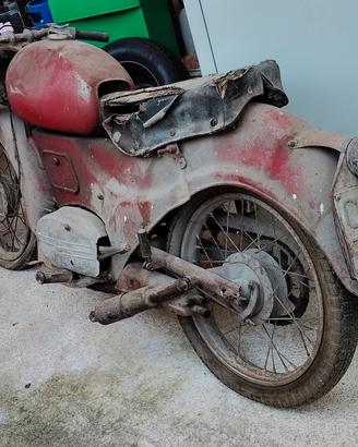 moto Guzzi zicolo 