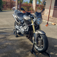 Honda Hornet 600