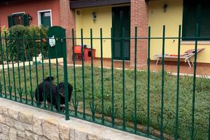 Ampio Bilocale piano terra a Capriano del Colle