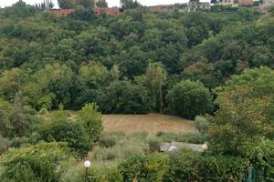 Terreno agricolo con ulivi e pozzo da 7000m2