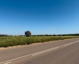 Terreno agricolo con possibilità di edificare