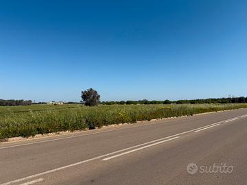 Terreno agricolo con possibilità di edificare
