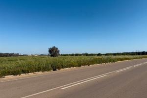 Terreno agricolo con possibilità di edificare