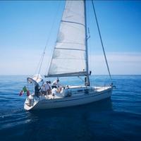 Barca a vela ELAN 333